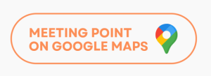 Google maps button